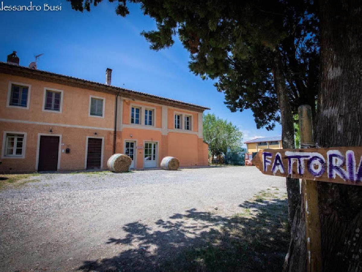 Agriturismo La Valle Della Lavanda - Podere Mezzastrada Fauglia Exterior photo